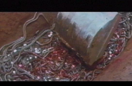 【DVD】人蛇大戦 蛇('82香港/台湾)